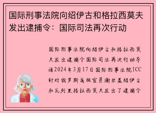 国际刑事法院向绍伊古和格拉西莫夫发出逮捕令：国际司法再次行动