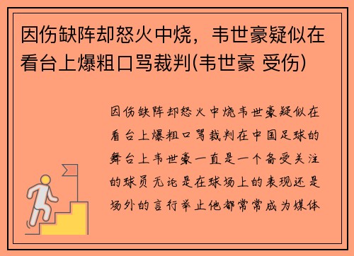 因伤缺阵却怒火中烧，韦世豪疑似在看台上爆粗口骂裁判(韦世豪 受伤)