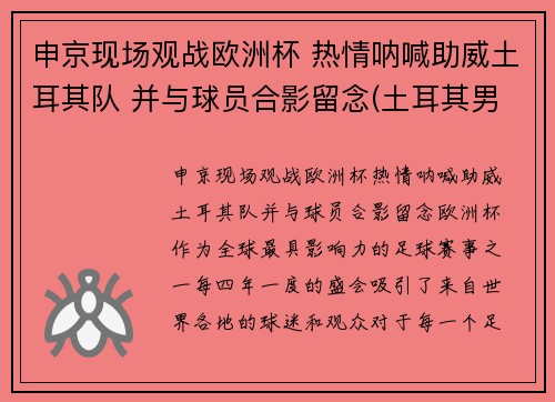 申京现场观战欧洲杯 热情呐喊助威土耳其队 并与球员合影留念(土耳其男篮申京)