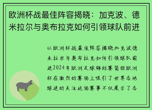 欧洲杯战最佳阵容揭晓：加克波、德米拉尔与奥布拉克如何引领球队前进